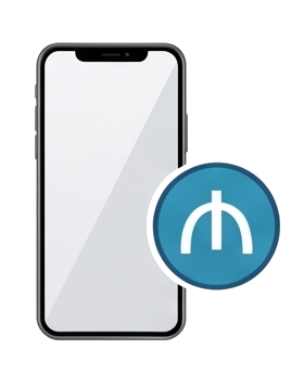 Fast Payment Manat